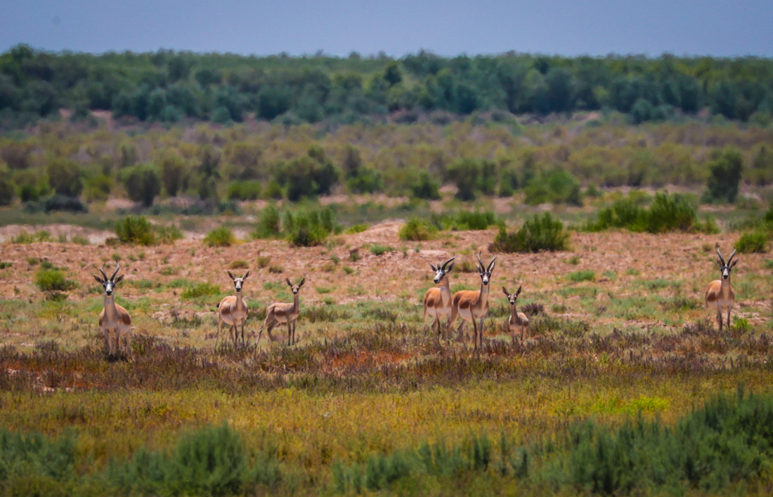 HD sifatli birinchi shaxs porno